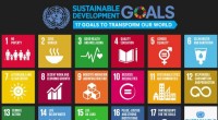 SDGs: Impact on Sustainability Narrative vs. Policy Change - Nature Sustainability Analysis