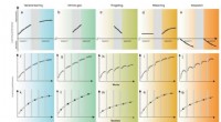 Understanding Perceptual Learning: A New Multicomponent Model