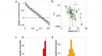 Understanding Flock Dynamics: Modeling Individual Bird Speed in Murmurations