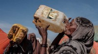UN: Acute Hunger Reached 193 Million in 2021 – A Dire Warning