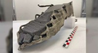 1,500-Year-Old Roman-Style Sandal Discovered in Norwegian Mountains