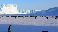 Antarctica Tourism: Social Connection Drives Travel, Study Finds