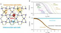 Accurate Calculation of Quantum Information Lifetimes with a Novel Mathematical Shortcut