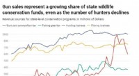 Hunting Decline & Conservation Funding: Examining the Link Between Gun Sales and Wildlife