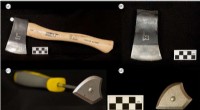 The Evolutionary Advantage of Tool Handles: New Research on Early Human Technology