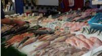 Global Seafood Trade: Decoding Regional Marketing Strategies