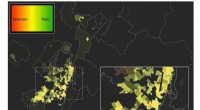 Urban Mobility Patterns: How Gender and Socioeconomic Status Shape City Travel