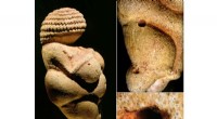 Venus of Willendorf: Uncovering the Secrets of a 30,000-Year-Old Icon