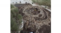 Ancient DNA Reveals Bronze Age Women s Impact on Orkney s Genetic History