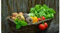 Consumer Preferences for Food Waste Solutions: A New Study