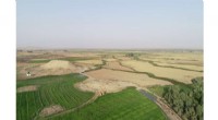 Ancient Iraq Farming Revolution: New Discovery Rewrites History