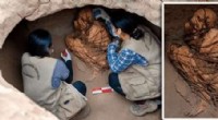 Remarkable Pre-Incan Mummy Discovery in Lima
