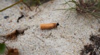 Holding Tobacco Companies Accountable: Reducing Cigarette Litter in Australia