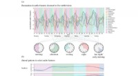 Diurnal Patterns in Streamed Music Consumption: A Data-Driven Analysis