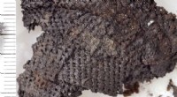 Stone Age Textile Discovery Rewrites History of Clothing Production