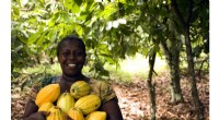 Cocoa Farming & Child Labor: Understanding the West Africa Crisis
