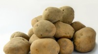 Construindo uma bateria de batatas:um projeto científico prático 