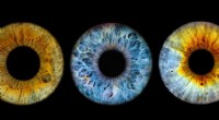 Distribución global del color de ojos:cuántas personas tienen tonos marrones, azules, verdes y otros 