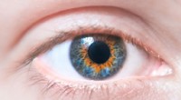 Eterocromia centrale:quando preoccuparsi del colore degli occhi 