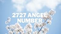 Ängel nummer 2727 förklarat:Hur gudomlig vägledning kan hjälpa dig att hitta balans och uppfyllelse 
