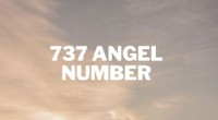 Engelennummer 737:zijn spirituele en creatieve kracht ontsluiten 