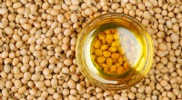 Una nueva investigación vincula el consumo de aceite de soja con el riesgo de obesidad 