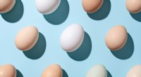 Hoe lang blijven eieren vers in de koelkast? Een gids voor voedingswetenschappers 