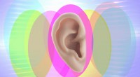 Varför vissa människor kan vicka med öronen - Vetenskapen bakom öronmusklerna 