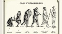 10 adattamenti umani essenziali che rivelano la nostra forza evolutiva 