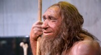 Neandertalerne:De meget intelligente forfædre, vi overså 