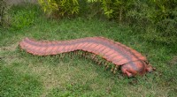 Arthropleura:revelado el artrópodo prehistórico más grande del mundo 