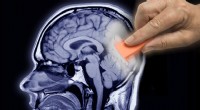 Wetenschappers ontdekken hoe je slechte herinneringen kunt bewerken:een veelbelovende doorbraak voor de geestelijke gezondheid 