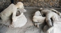 DNA-tests onthullen nieuwe waarheden over slachtoffers van Pompeii en stellen lang bestaande geschiedenissen in vraag 