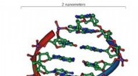Från Mendel till modern kriminalteknik:Den första användningen av DNA-testning 