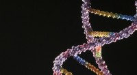 DNA recombinante vs. engenharia genética:compreendendo suas funções distintas 