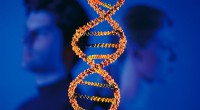 Quanto tempo richiede la replicazione del DNA? Comprendere la velocità della duplicazione genetica 