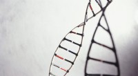 Kontinuerlig vs. diskontinuerlig DNA-syntes:hur replikering fungerar 