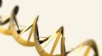 Hur man märker en DNA Double Helix-modell:En steg-för-steg-guide 