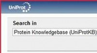 Cómo calcular con precisión el punto isoeléctrico (pI) de una proteína 