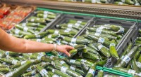 Imballaggi di cetrioli:come l imballaggio in plastica può ridurre gli sprechi alimentari e apportare benefici all ambiente 