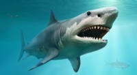 Megalodon:de prehistorische haai met de krachtigste beet ter wereld 