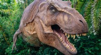Cómo era realmente el Tyrannosaurus Rex:la ciencia detrás del mito 