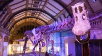 Patagotitan:il più grande dinosauro mai scoperto, che supera i più grandi animali terrestri di oggi 