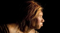 E se i Neanderthal fossero sopravvissuti? Un mondo moderno reinventato 