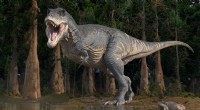 Potrebbe un Tyrannosaurus Rex prosperare nell’ambiente odierno? 